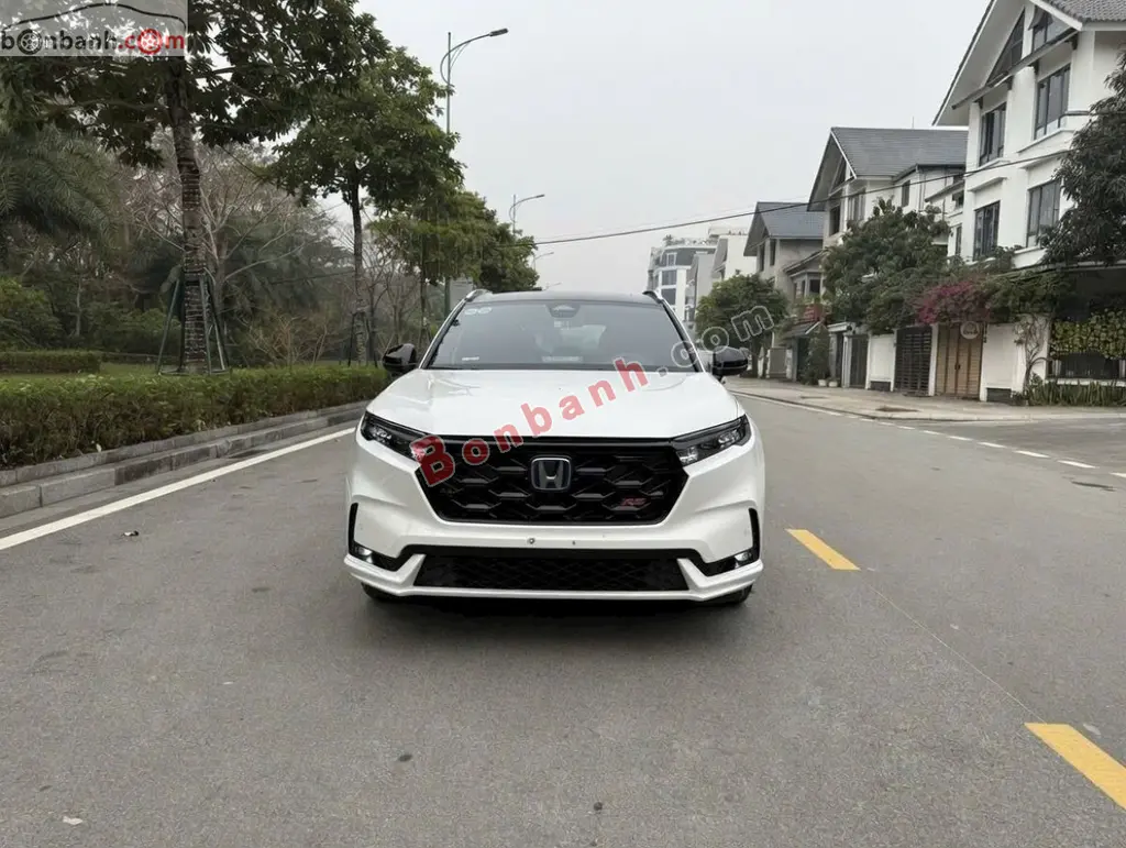 Hình ảnh số 2