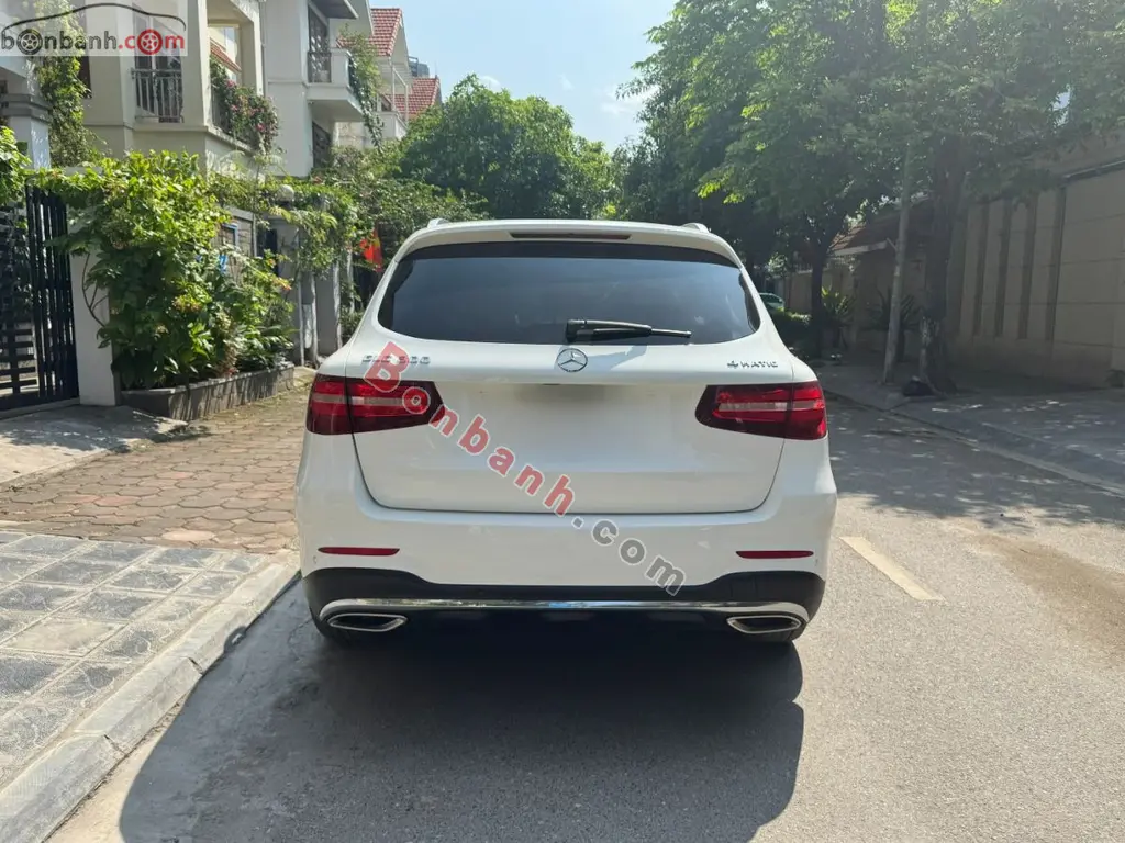 Hình ảnh số 5
