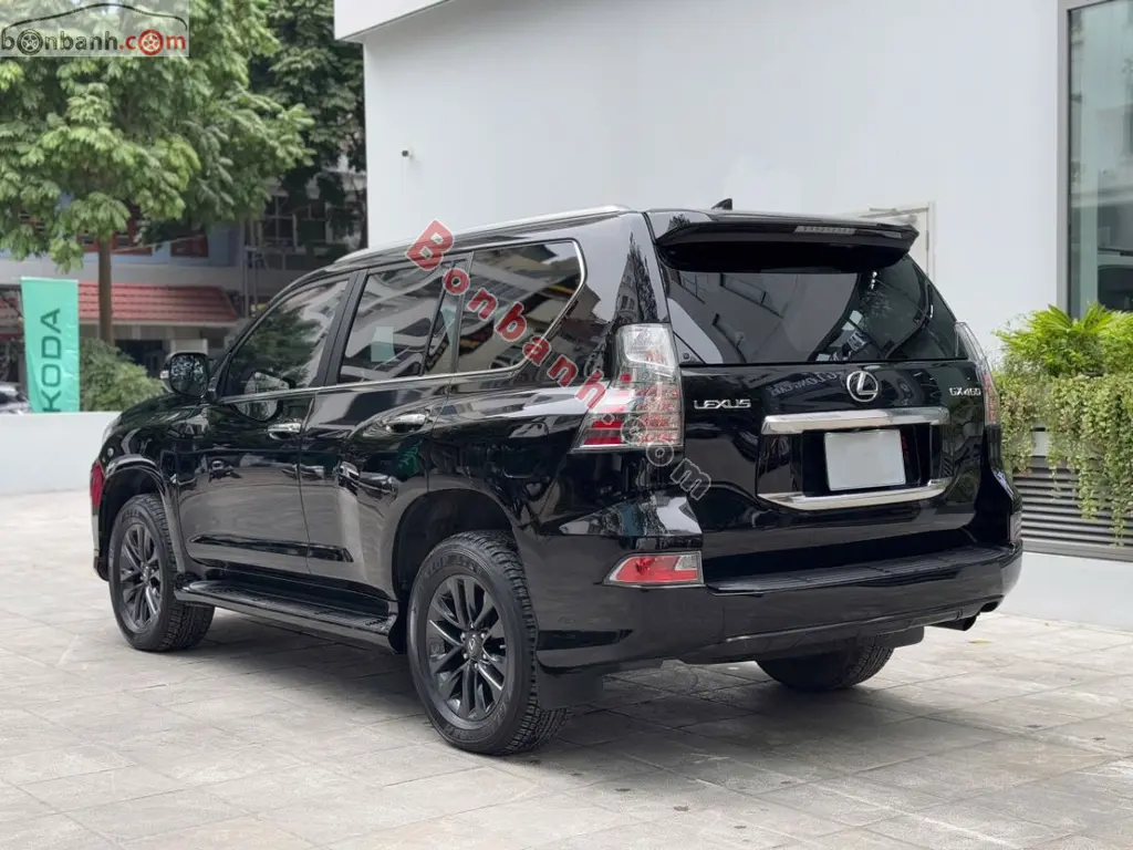 Hình ảnh số 3