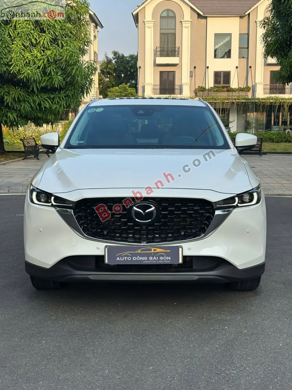 Hình ảnh số 2