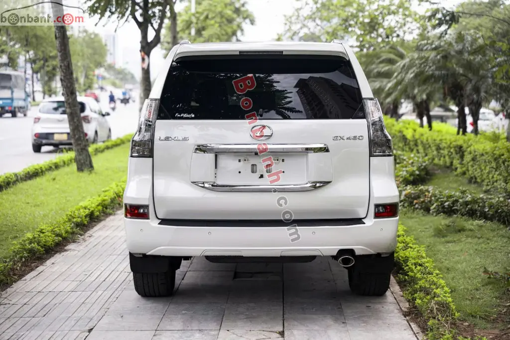 Hình ảnh số 5