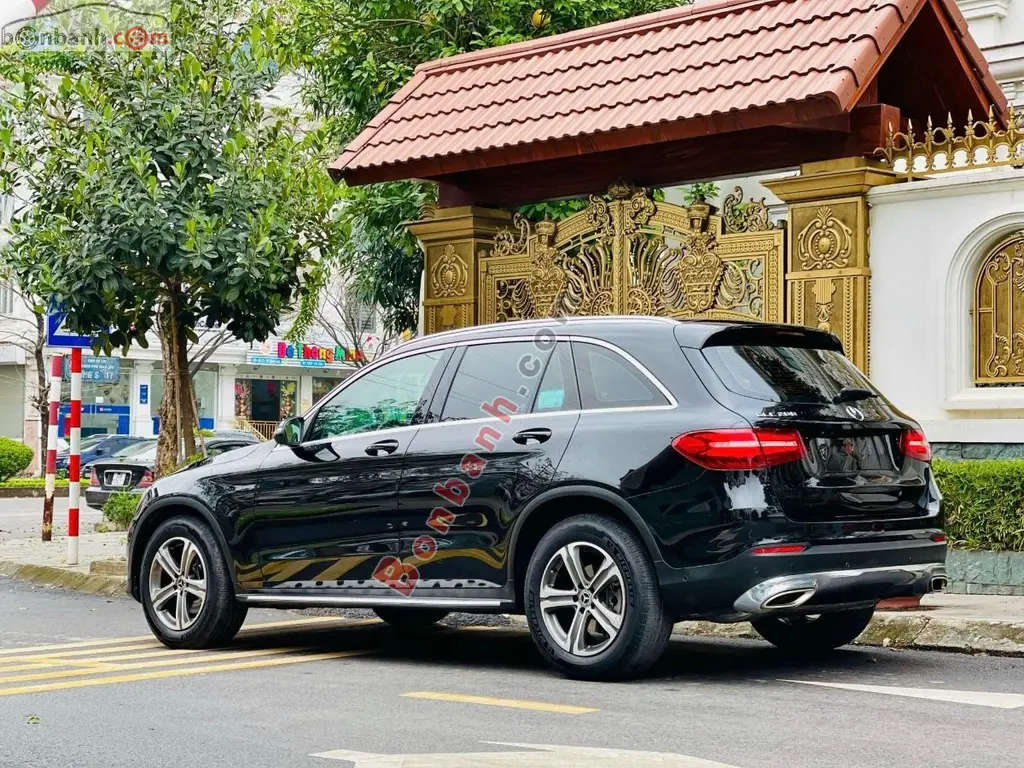 Hình ảnh số 4