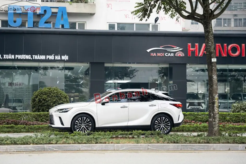 Hình ảnh số 5