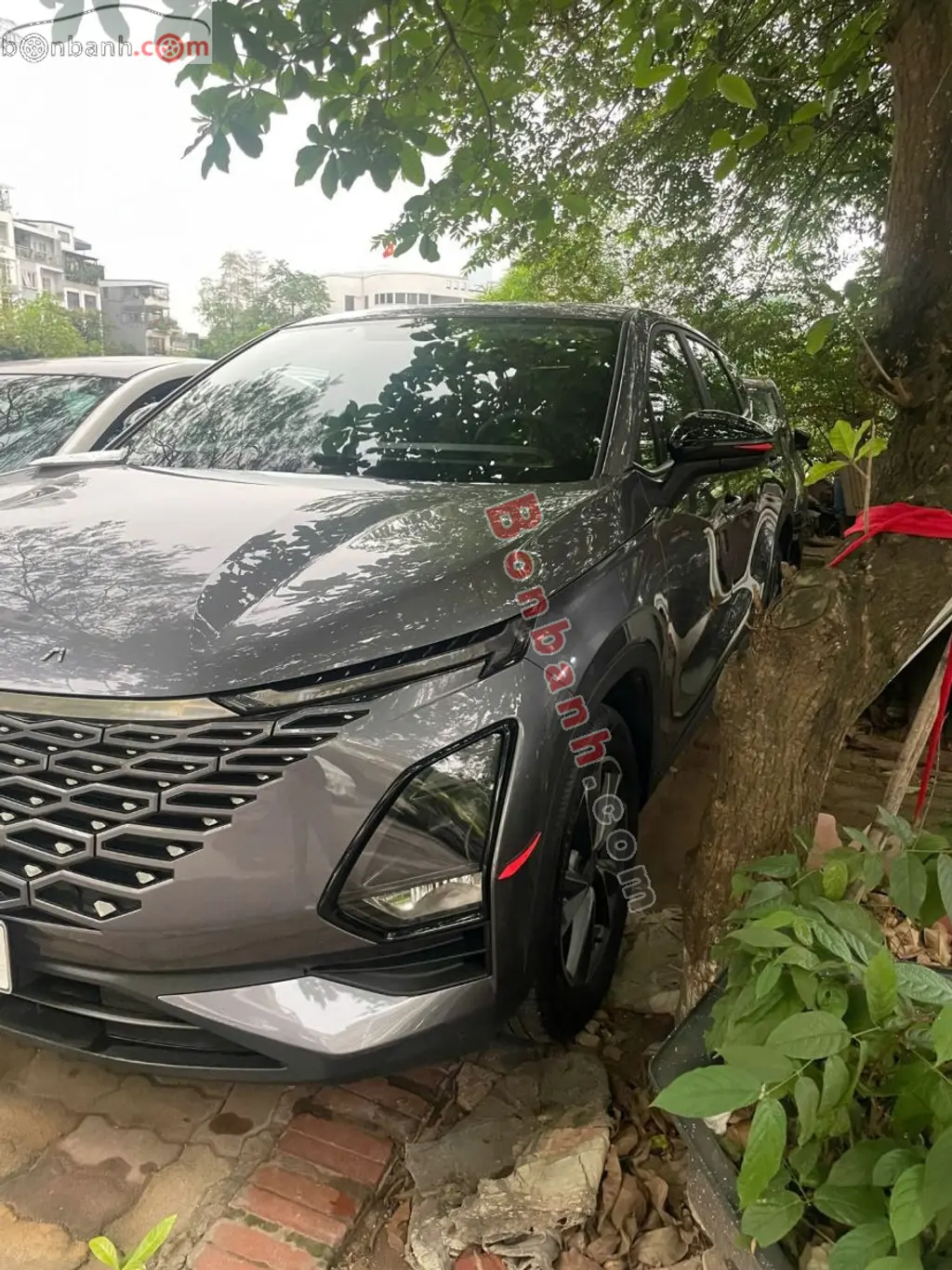 Hình ảnh số 2