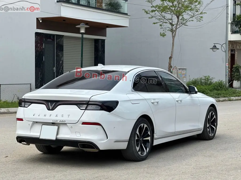 Hình ảnh số 2