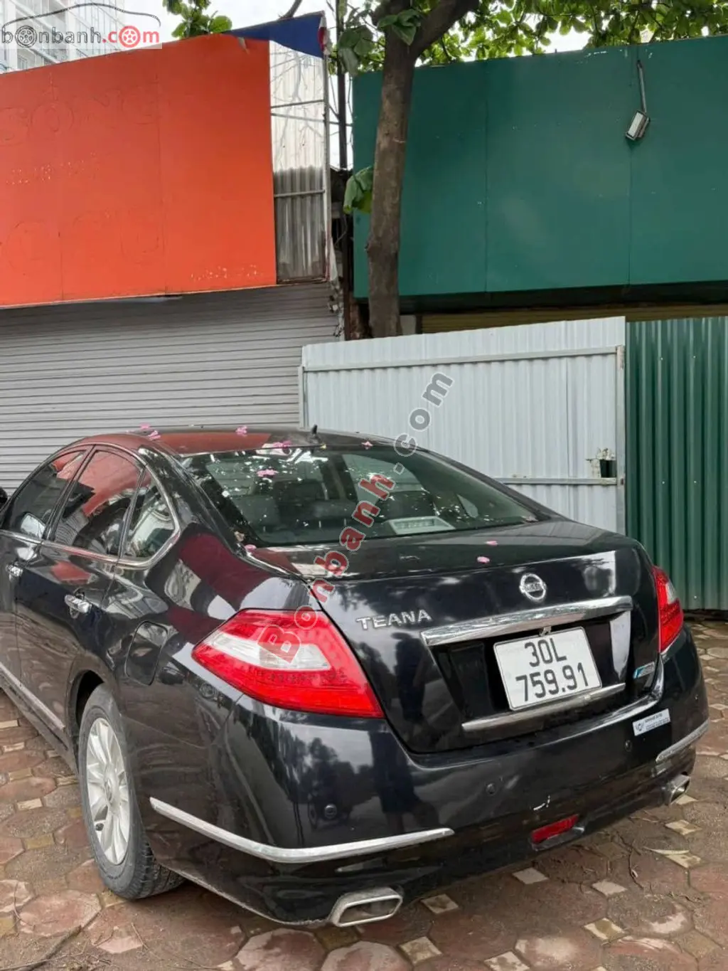 Hình ảnh số 2