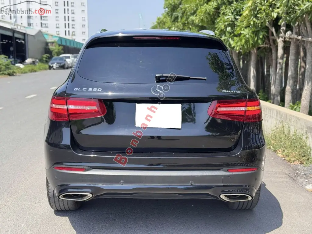 Hình ảnh số 2