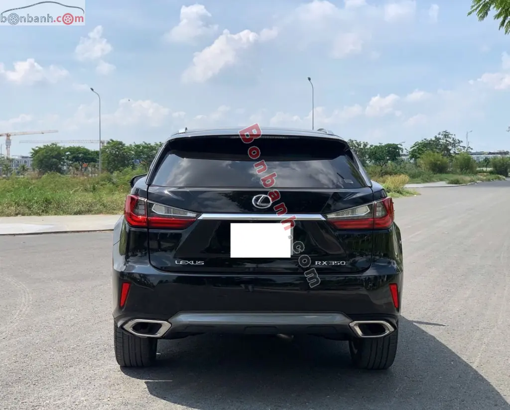 Hình ảnh số 5