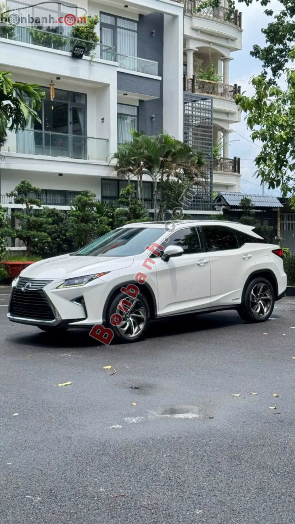 Hình ảnh số 2