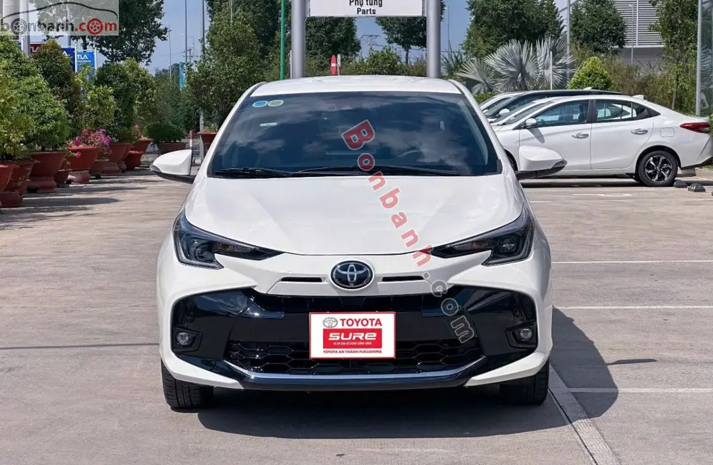 Hình ảnh số 3