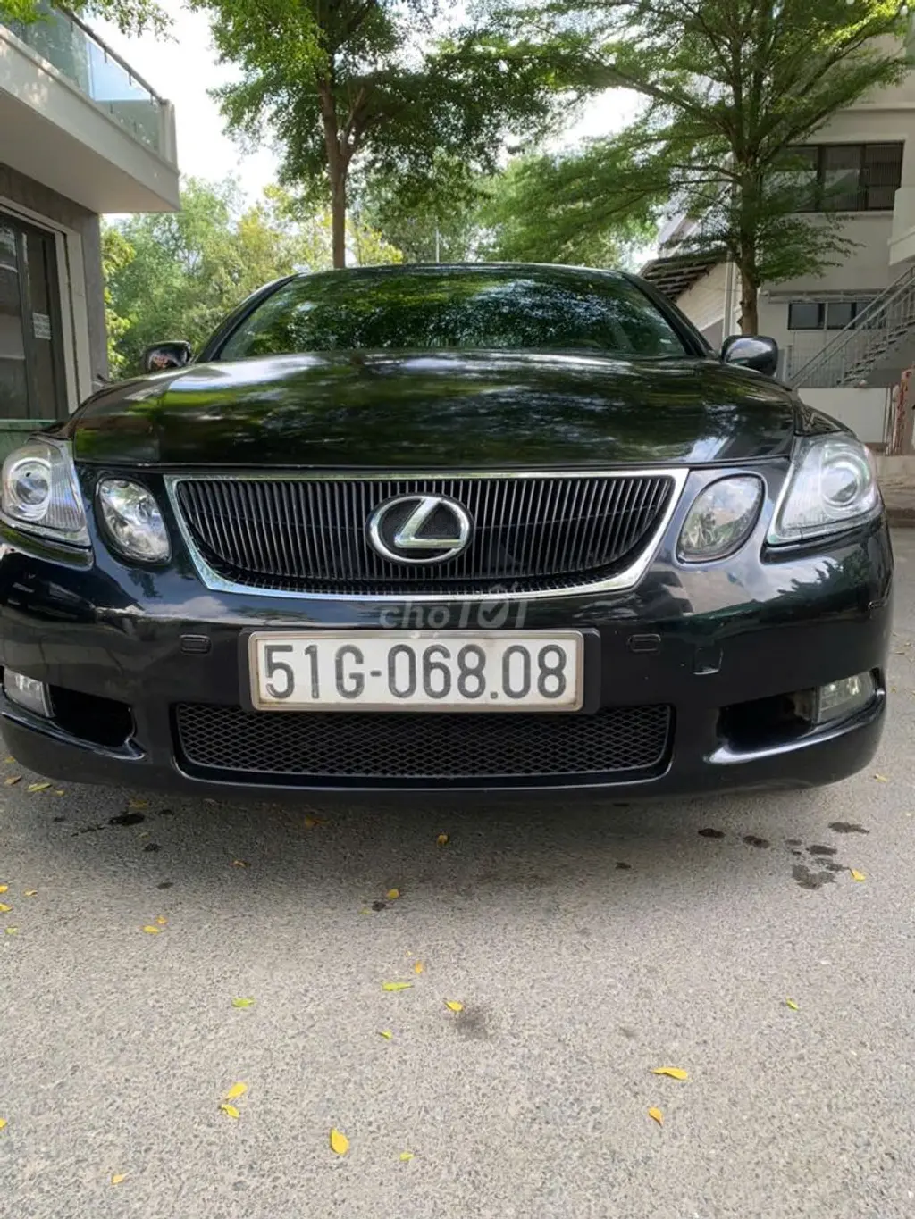Hình ảnh số 7