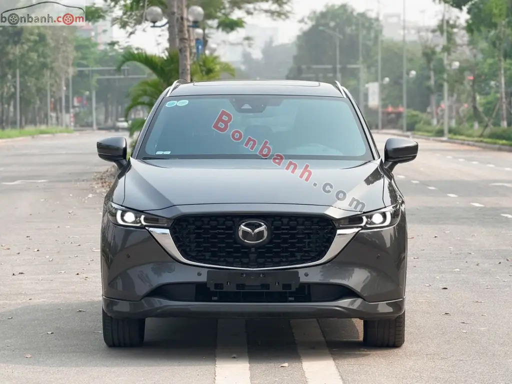 Hình ảnh số 2