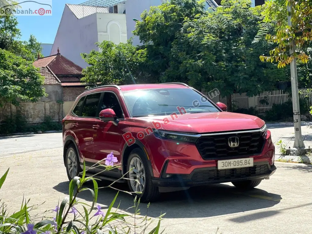 Hình ảnh số 5