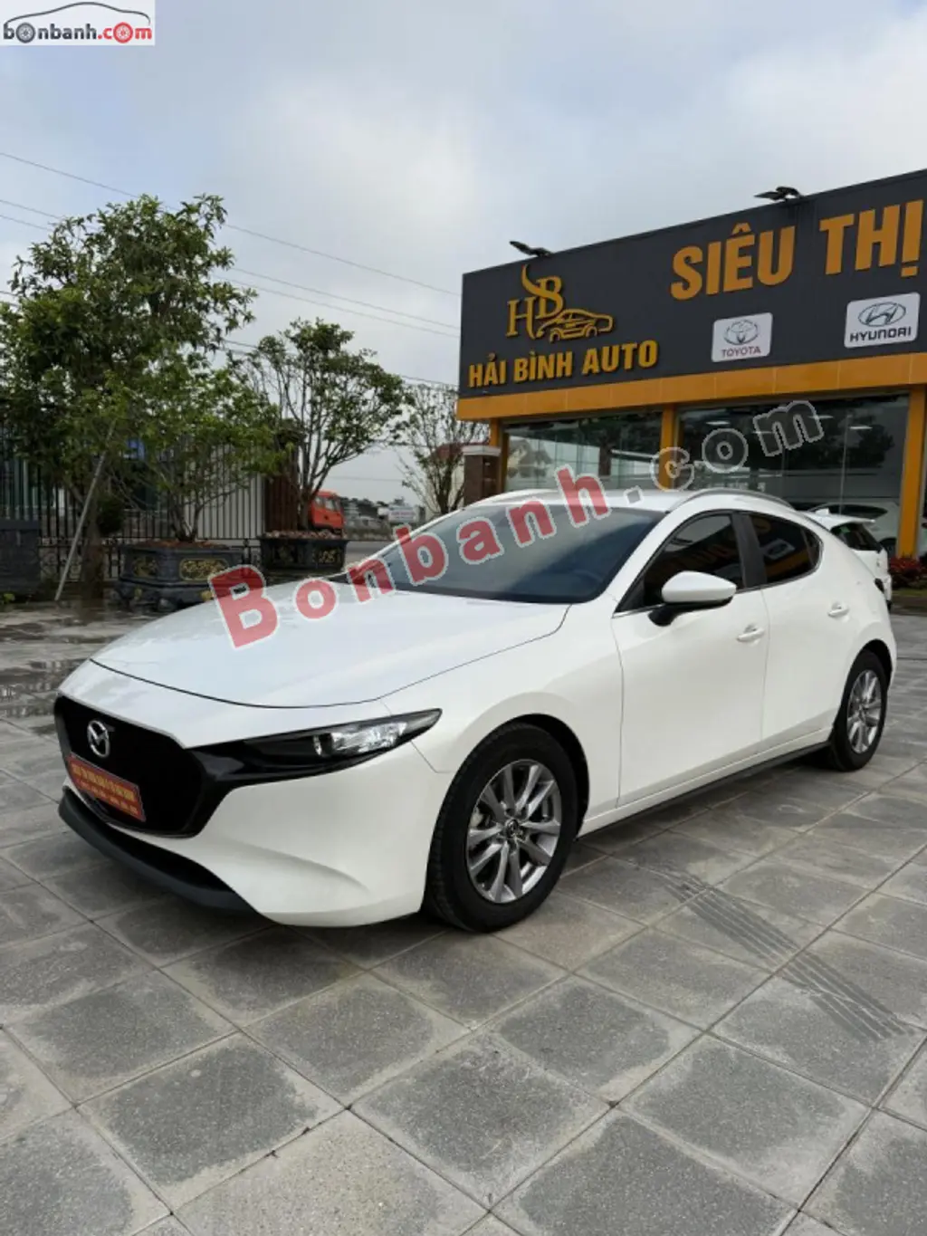 Hình ảnh số 3