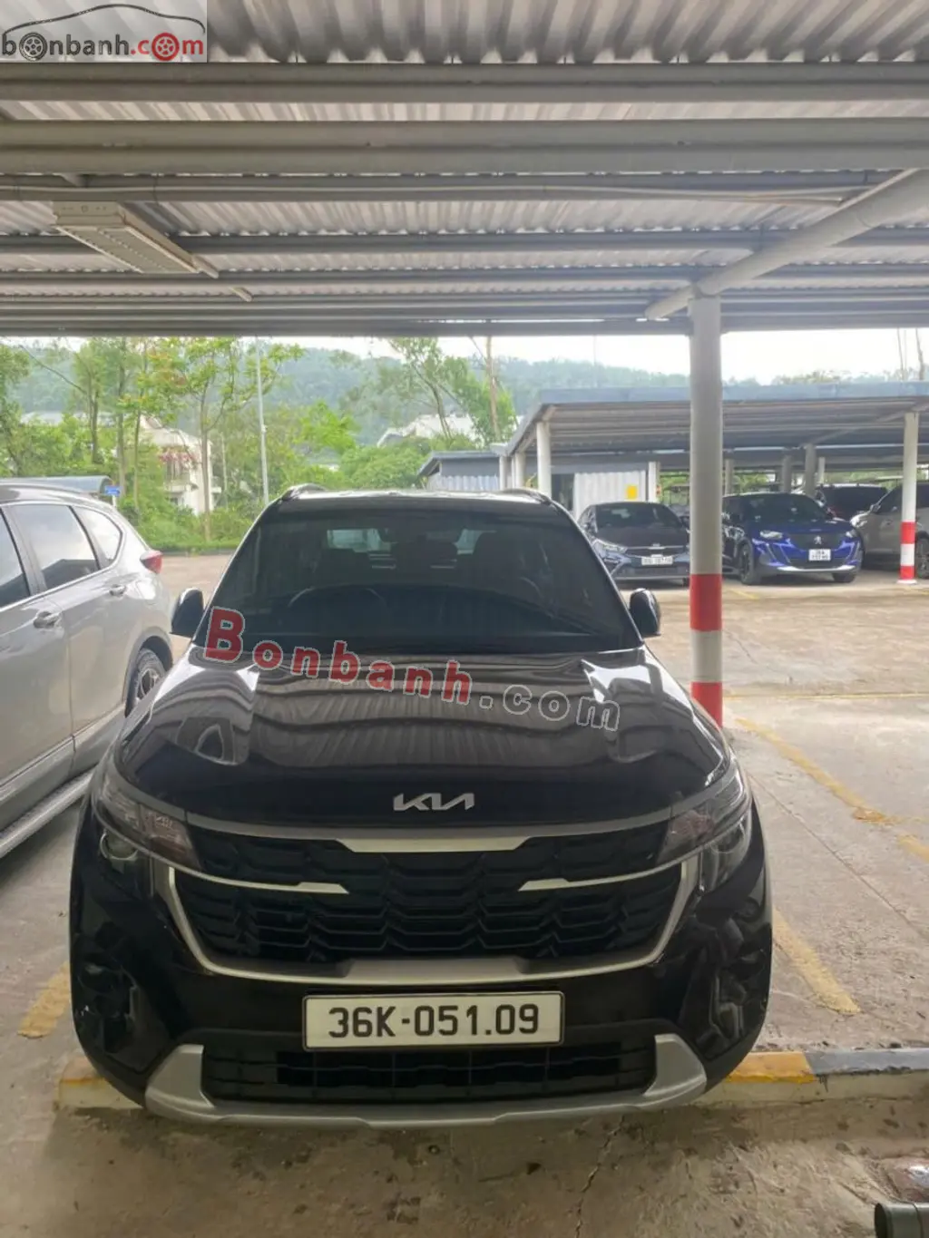 Hình ảnh số 3