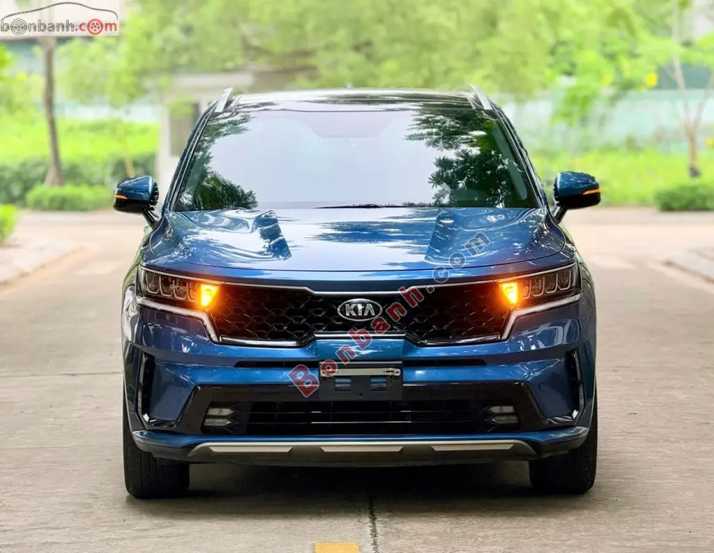 Hình ảnh số 2