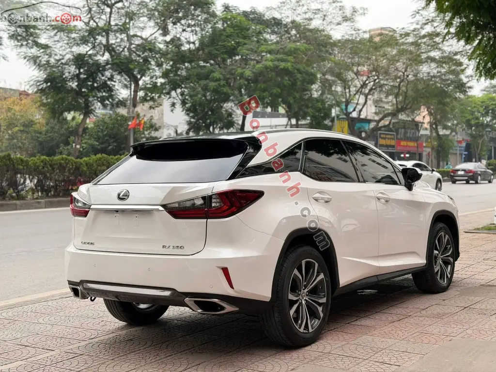 Hình ảnh số 3