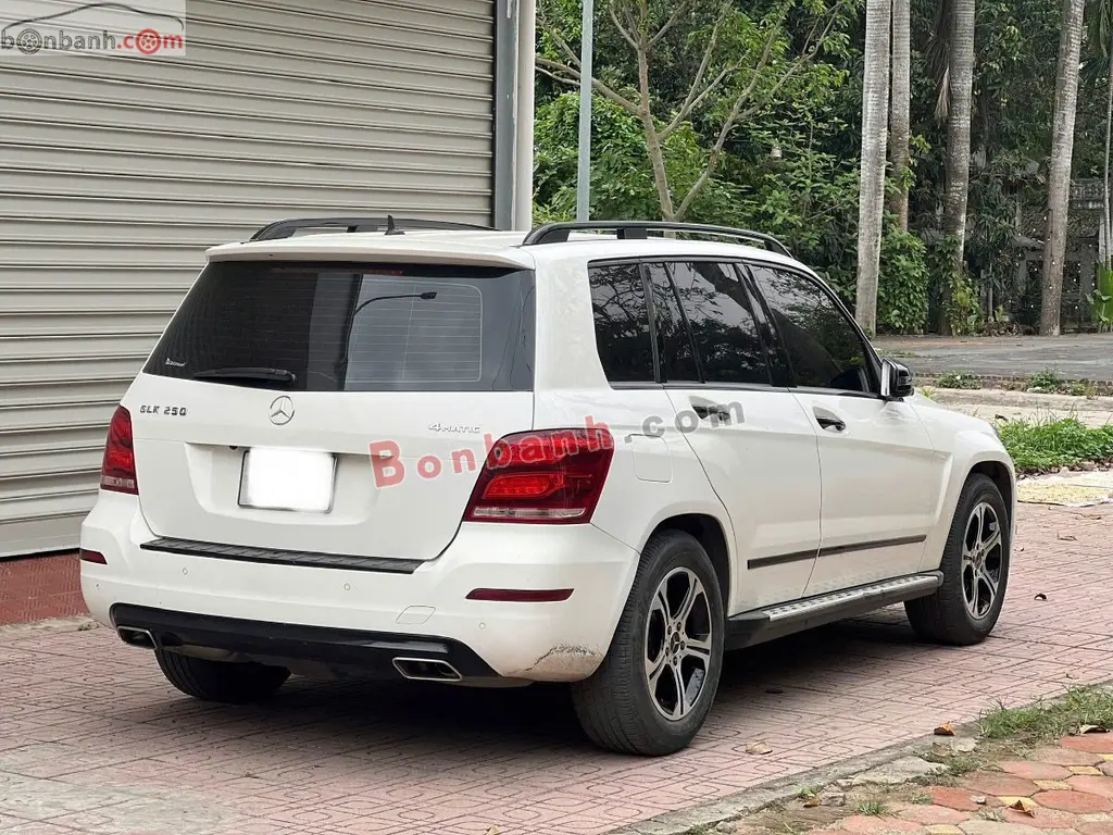 Hình ảnh số 3