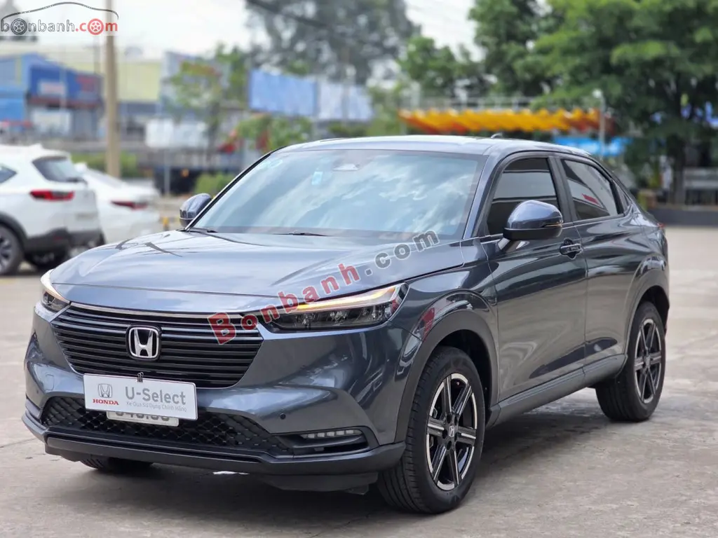 Hình ảnh số 2