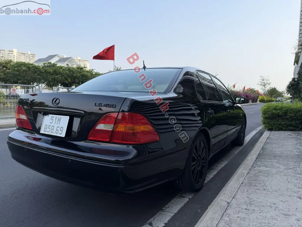 Hình ảnh số 7