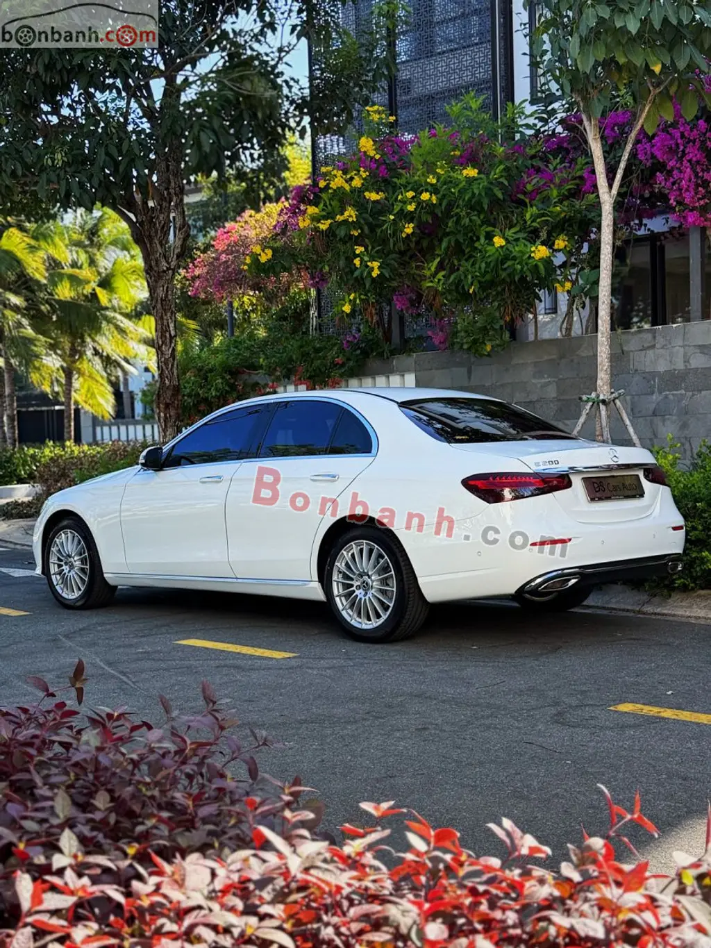Hình ảnh số 4