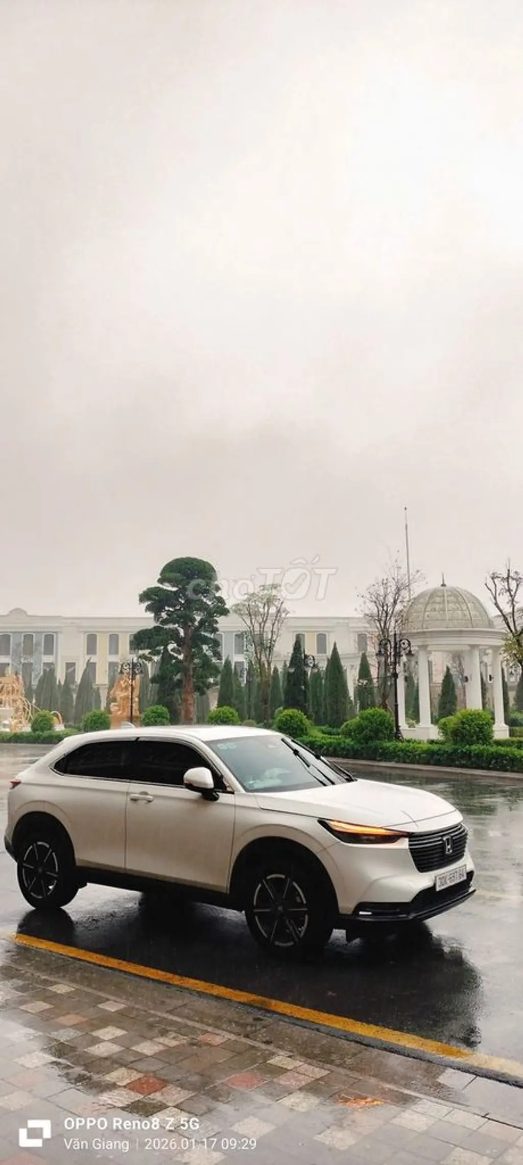 Hình ảnh số 2