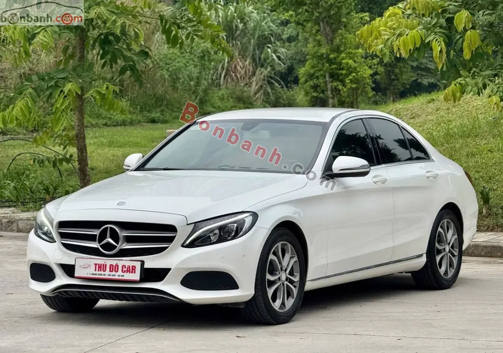 Hình ảnh số 2