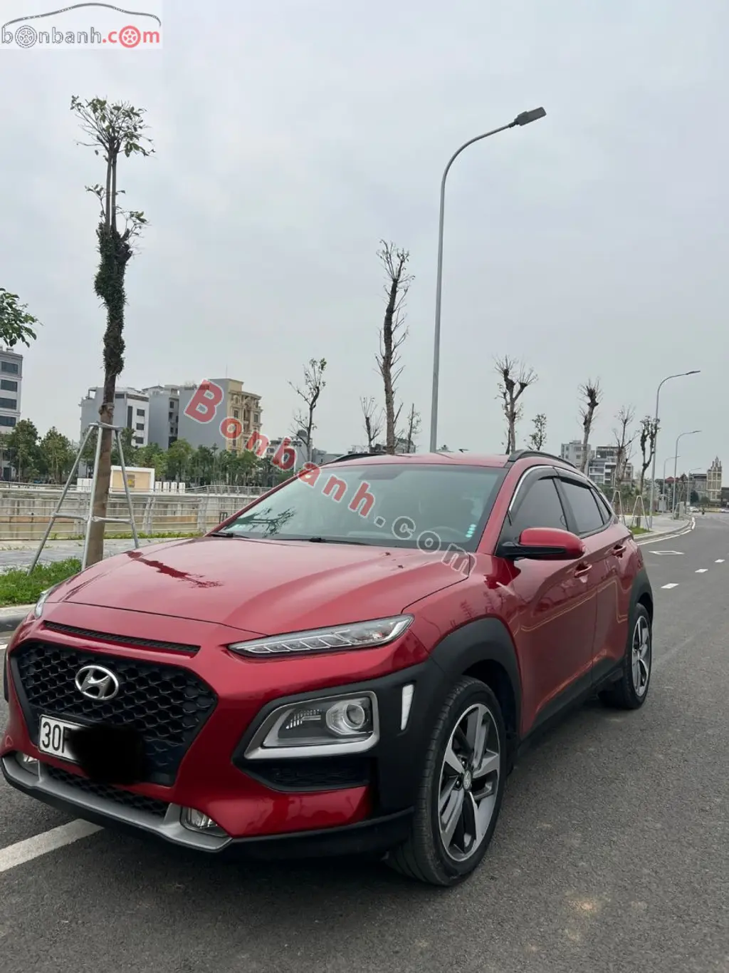 Hình ảnh số 2