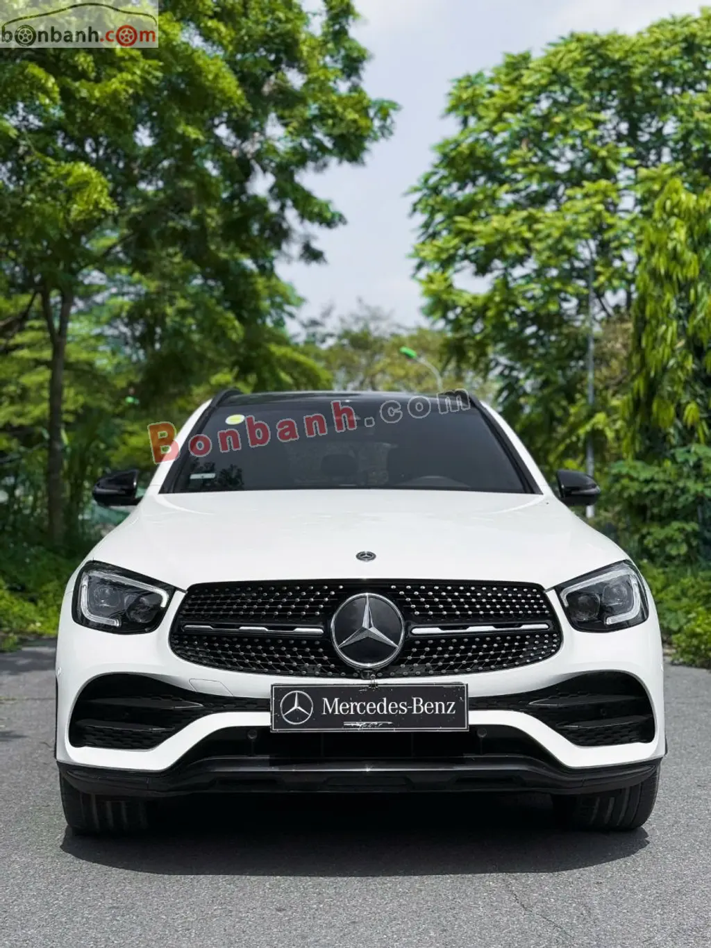 Hình ảnh số 2