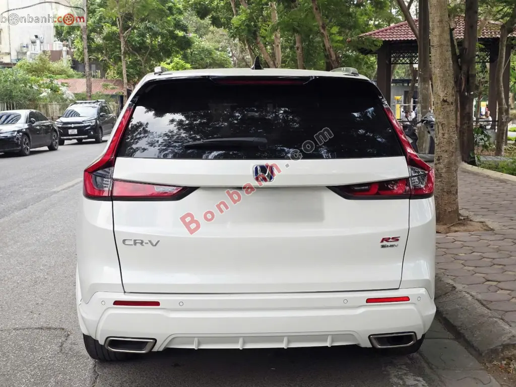 Hình ảnh số 6