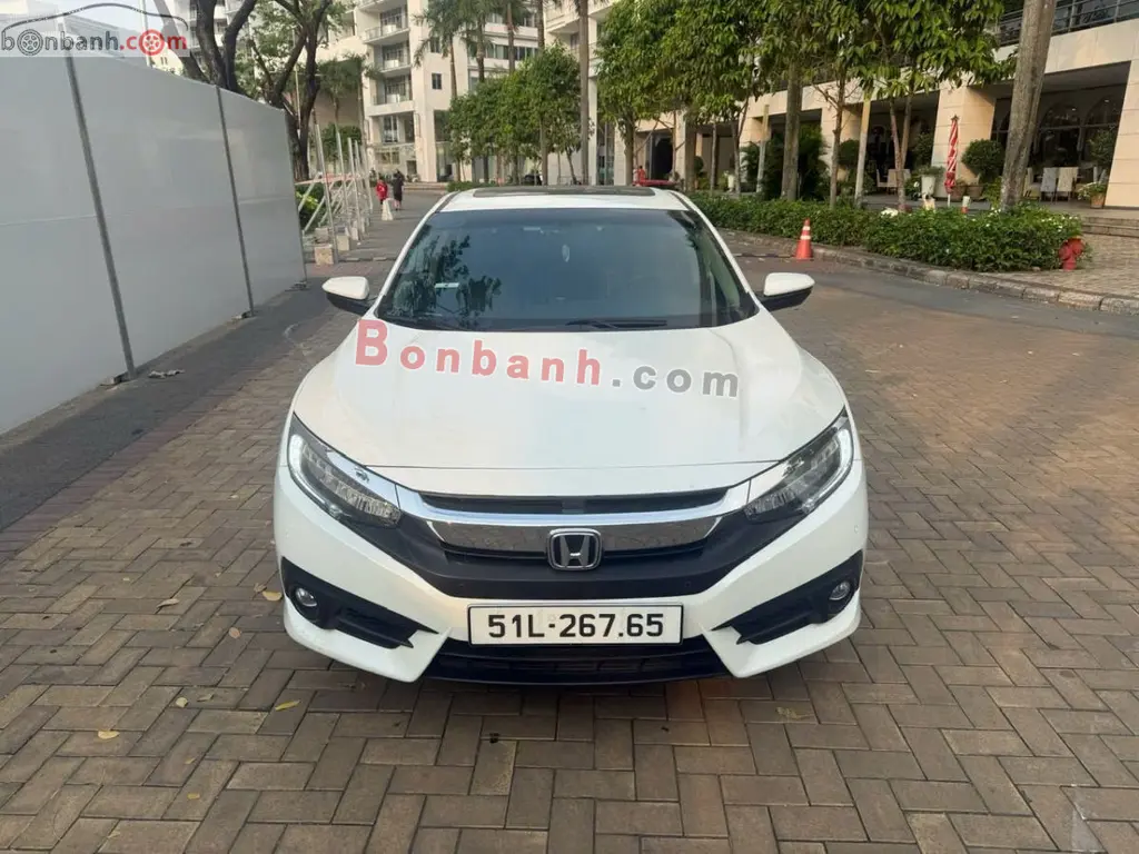 Hình ảnh số 2