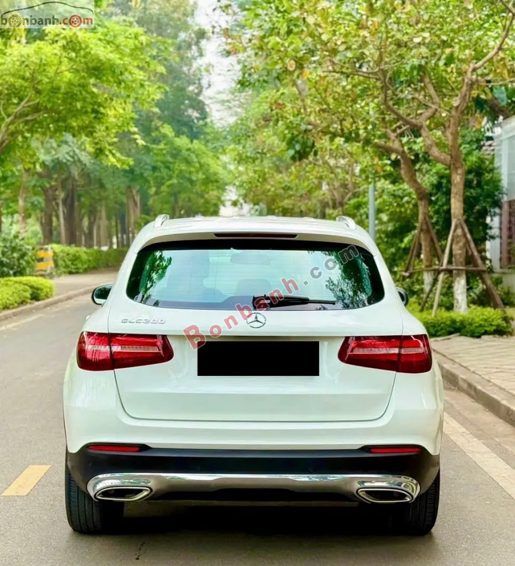 Hình ảnh số 5
