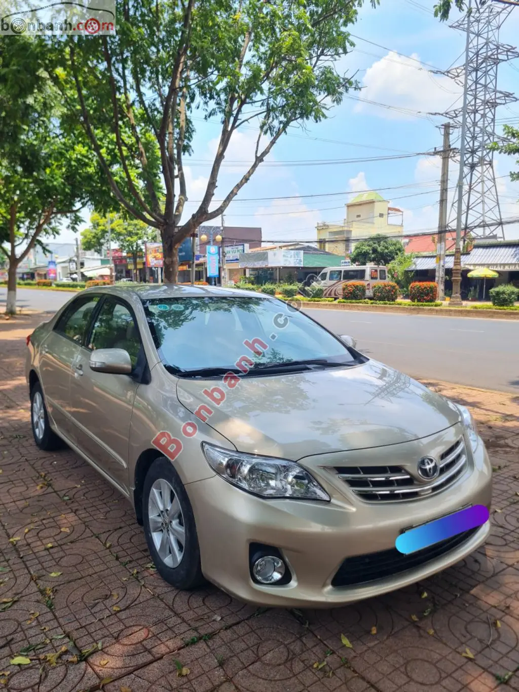 Hình ảnh số 2