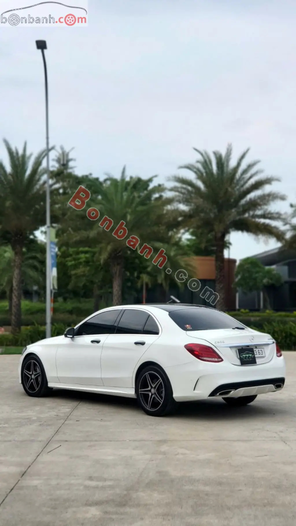 Hình ảnh số 3