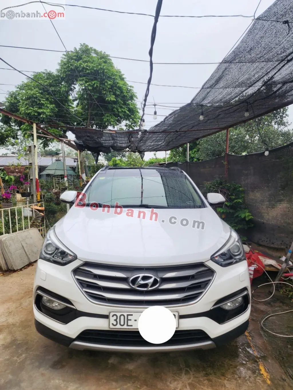 Hình ảnh số 3