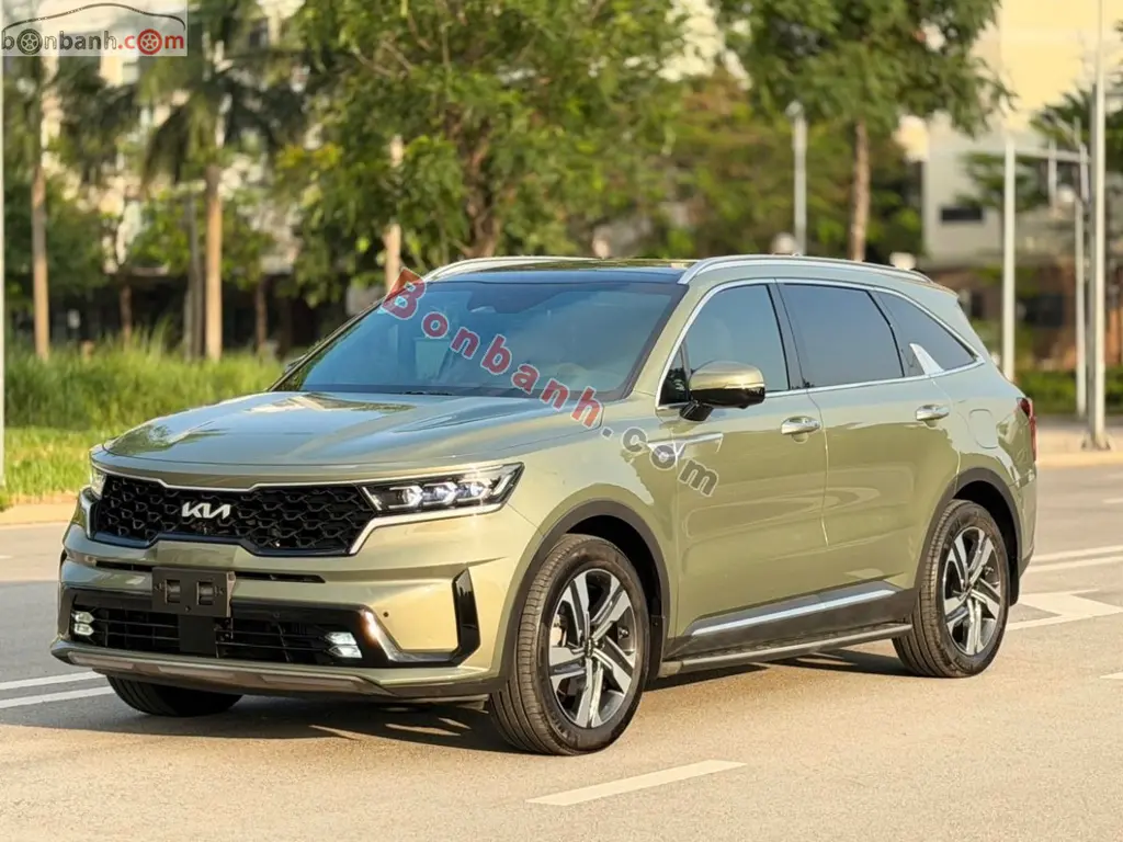 Hình ảnh số 2