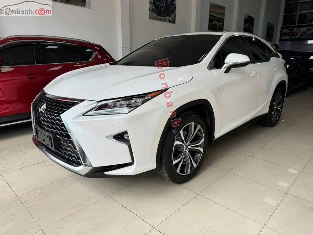 Hình ảnh số 2