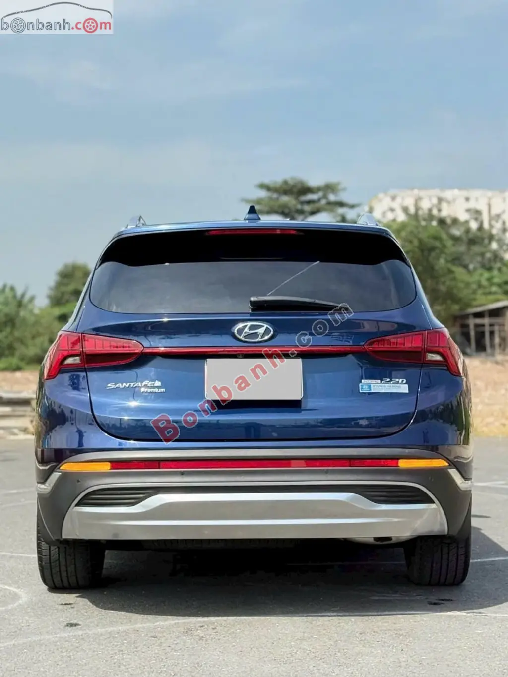 Hình ảnh số 10