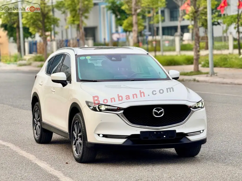 Hình ảnh số 2