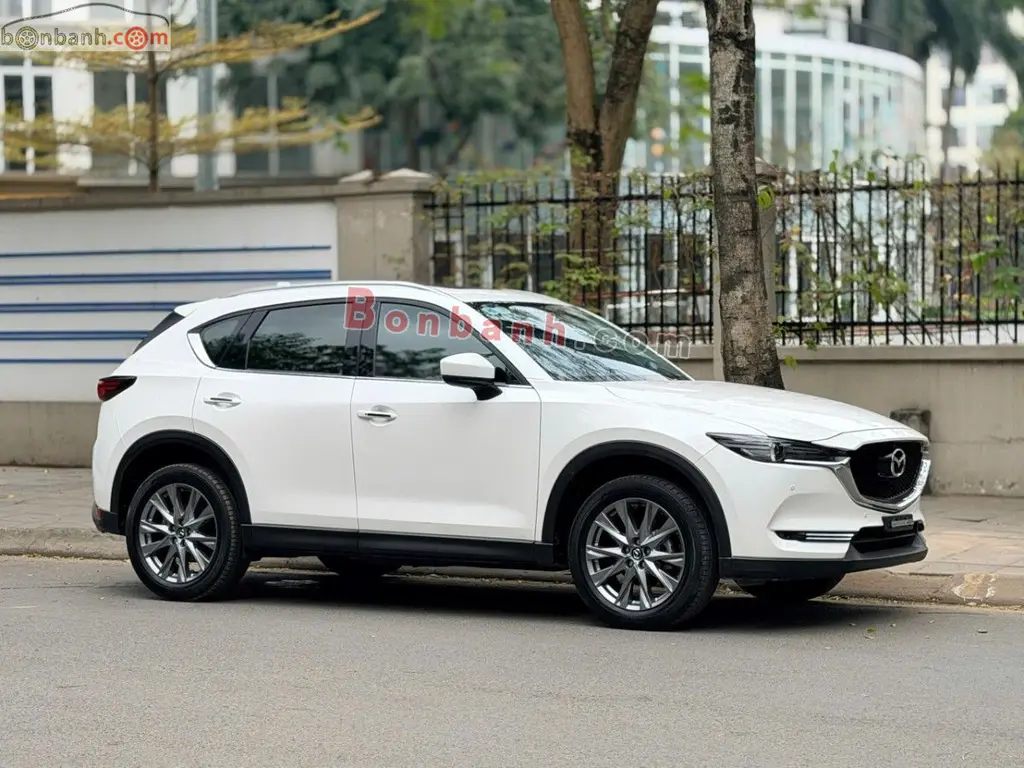 Hình ảnh số 5