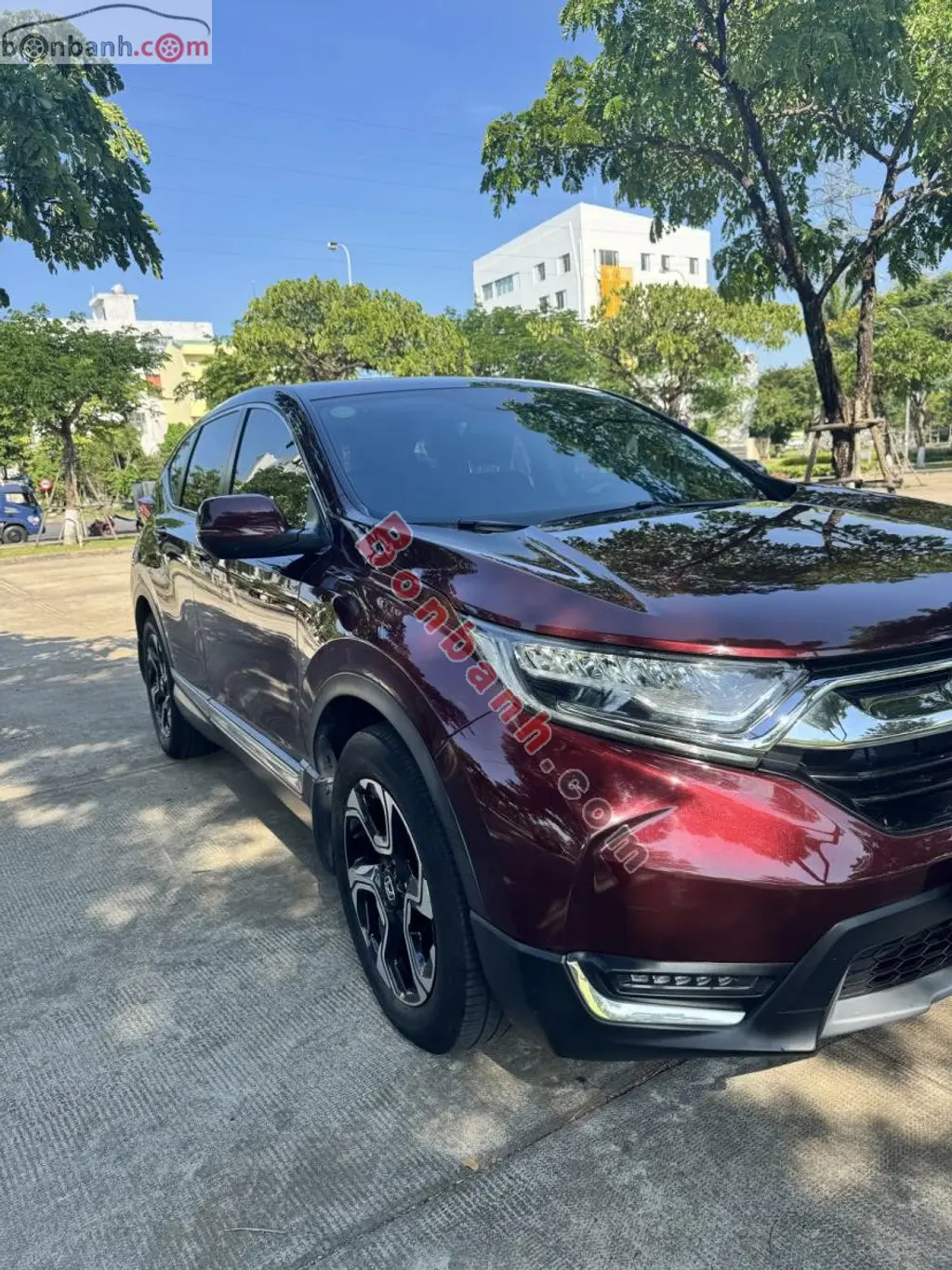 Hình ảnh số 3