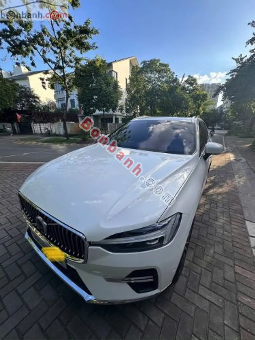 Hình ảnh số 2
