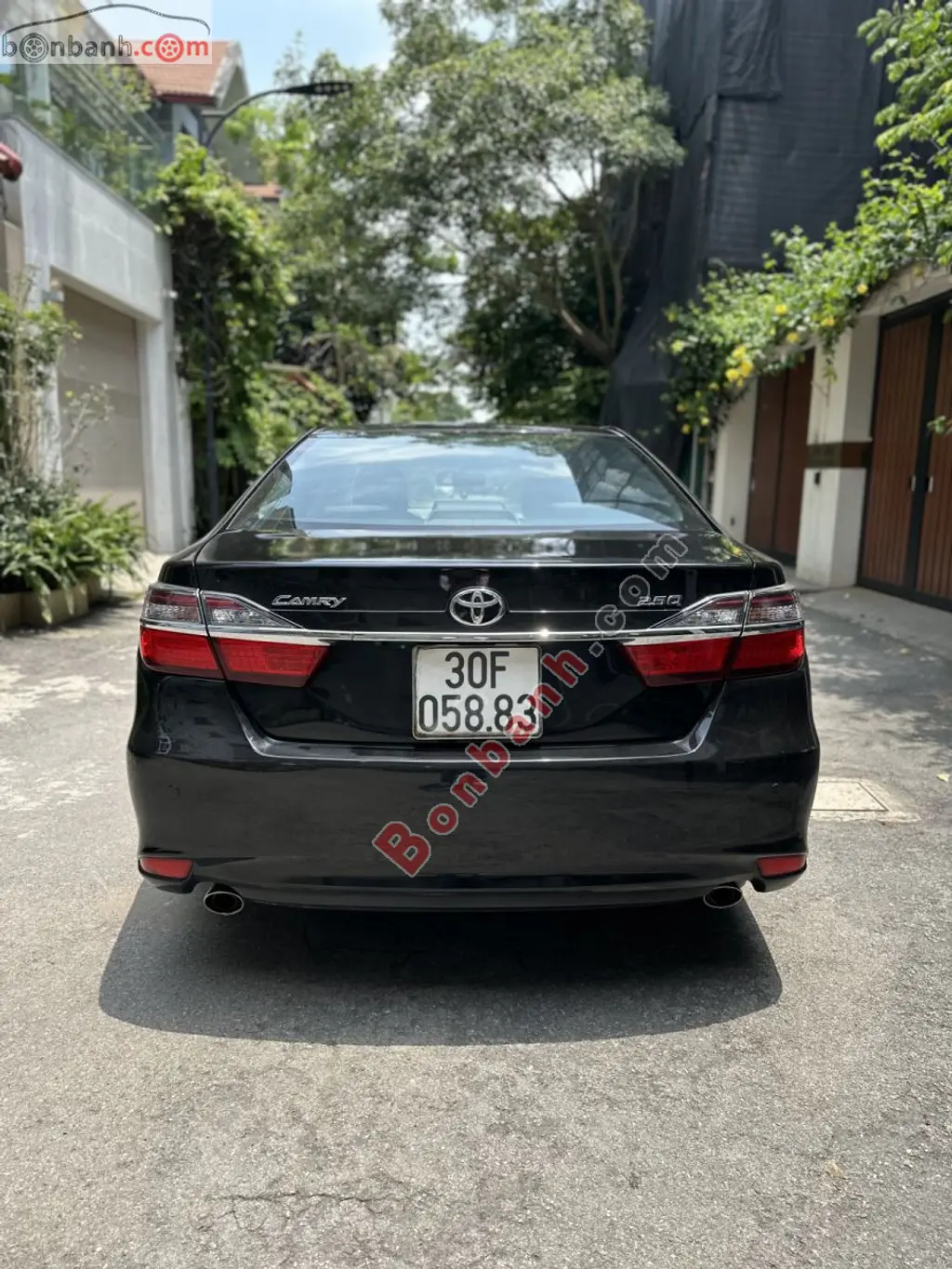 Hình ảnh số 2