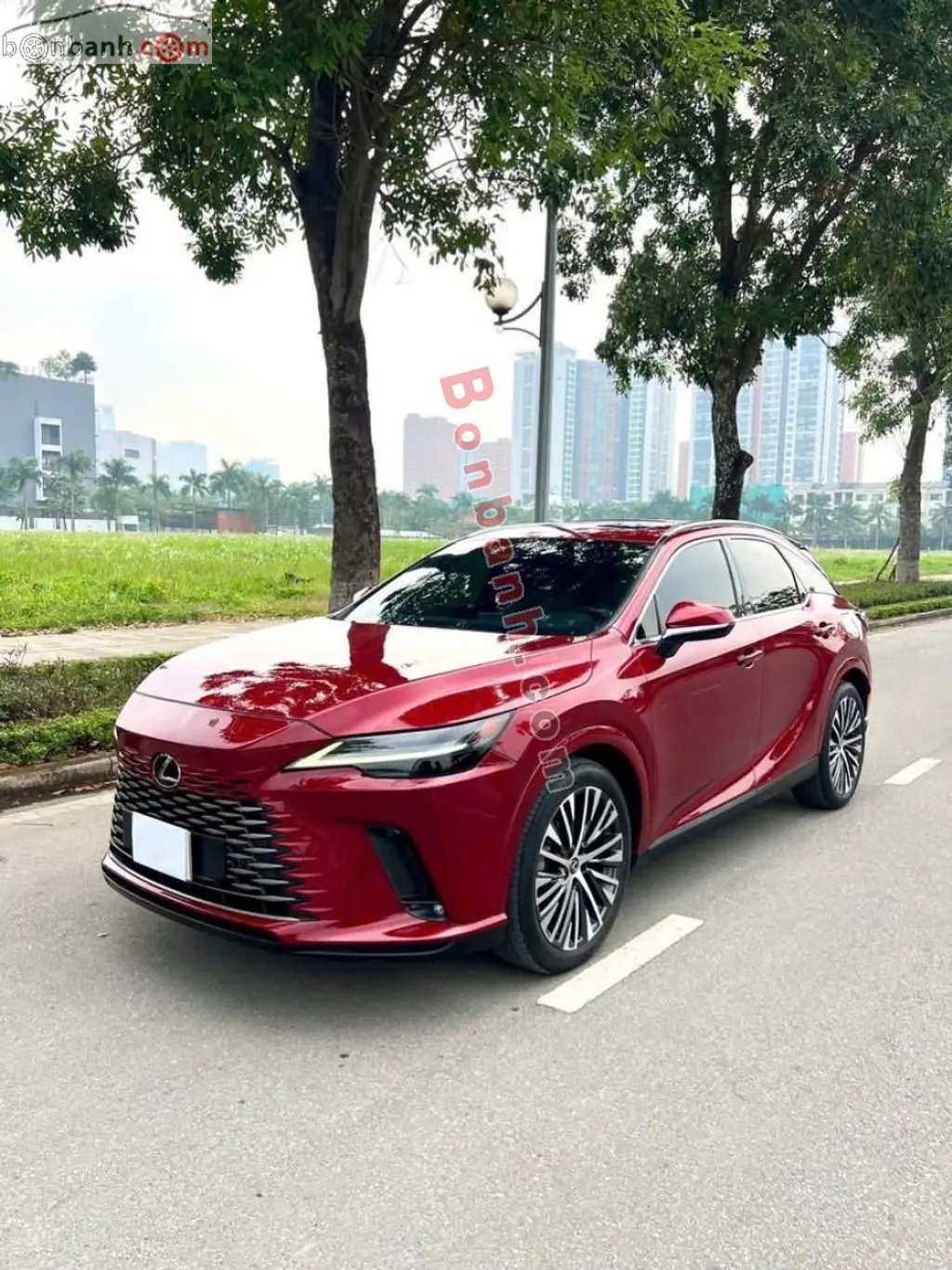 Hình ảnh số 2