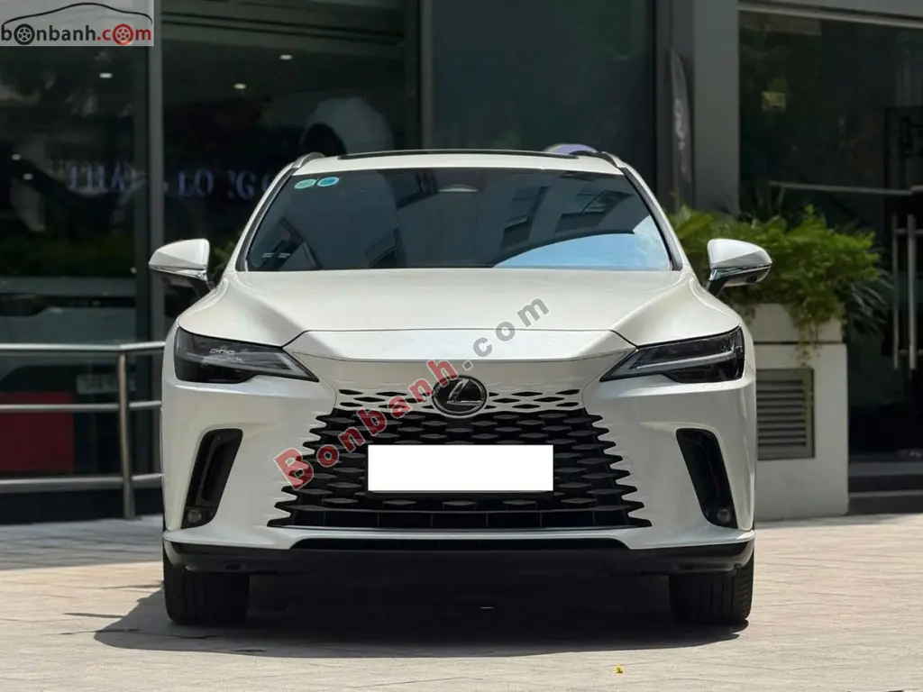 Hình ảnh số 2