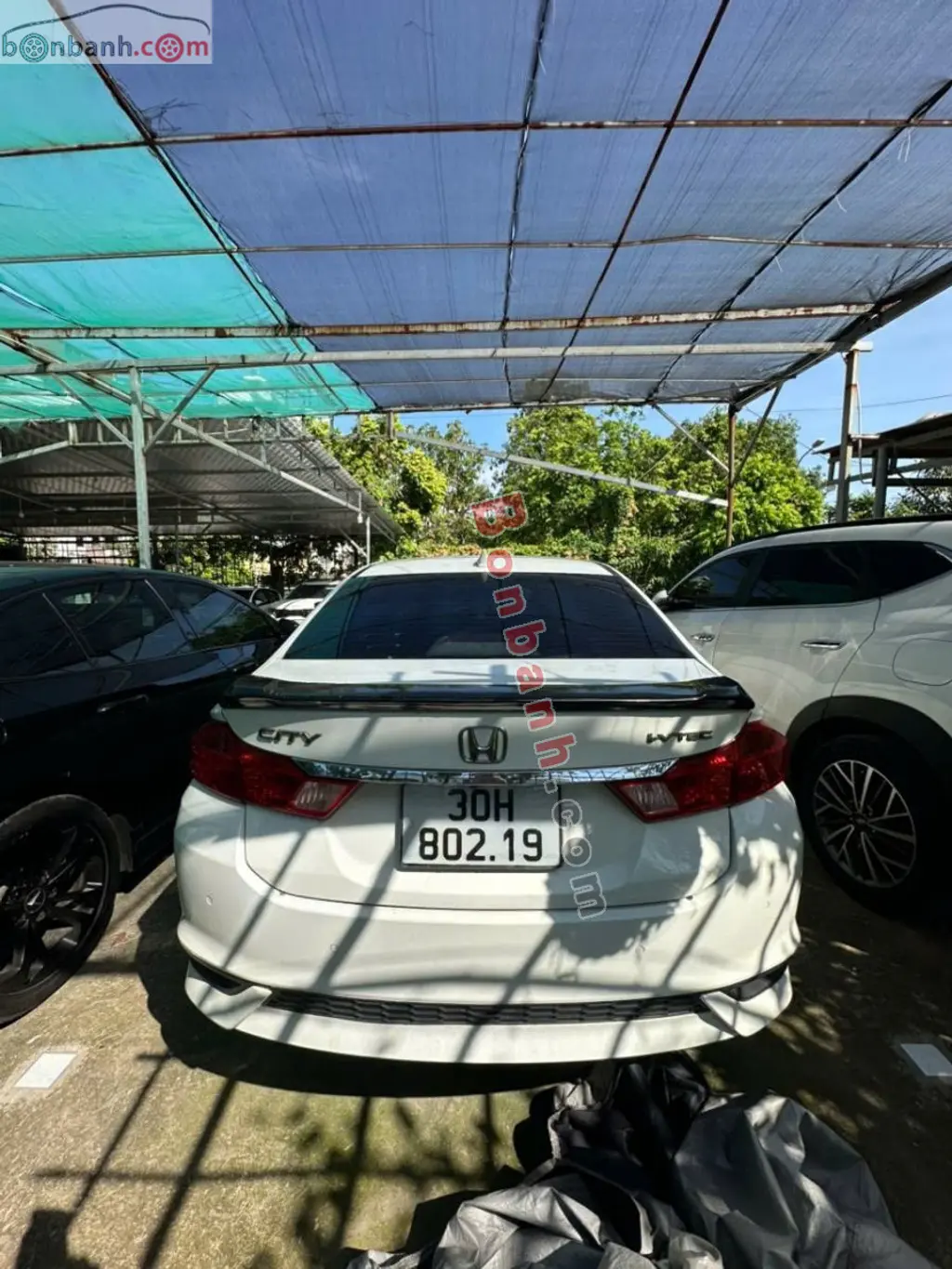 Hình ảnh số 2