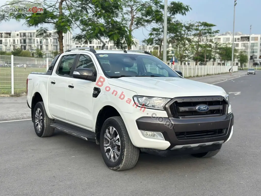 Hình ảnh số 8
