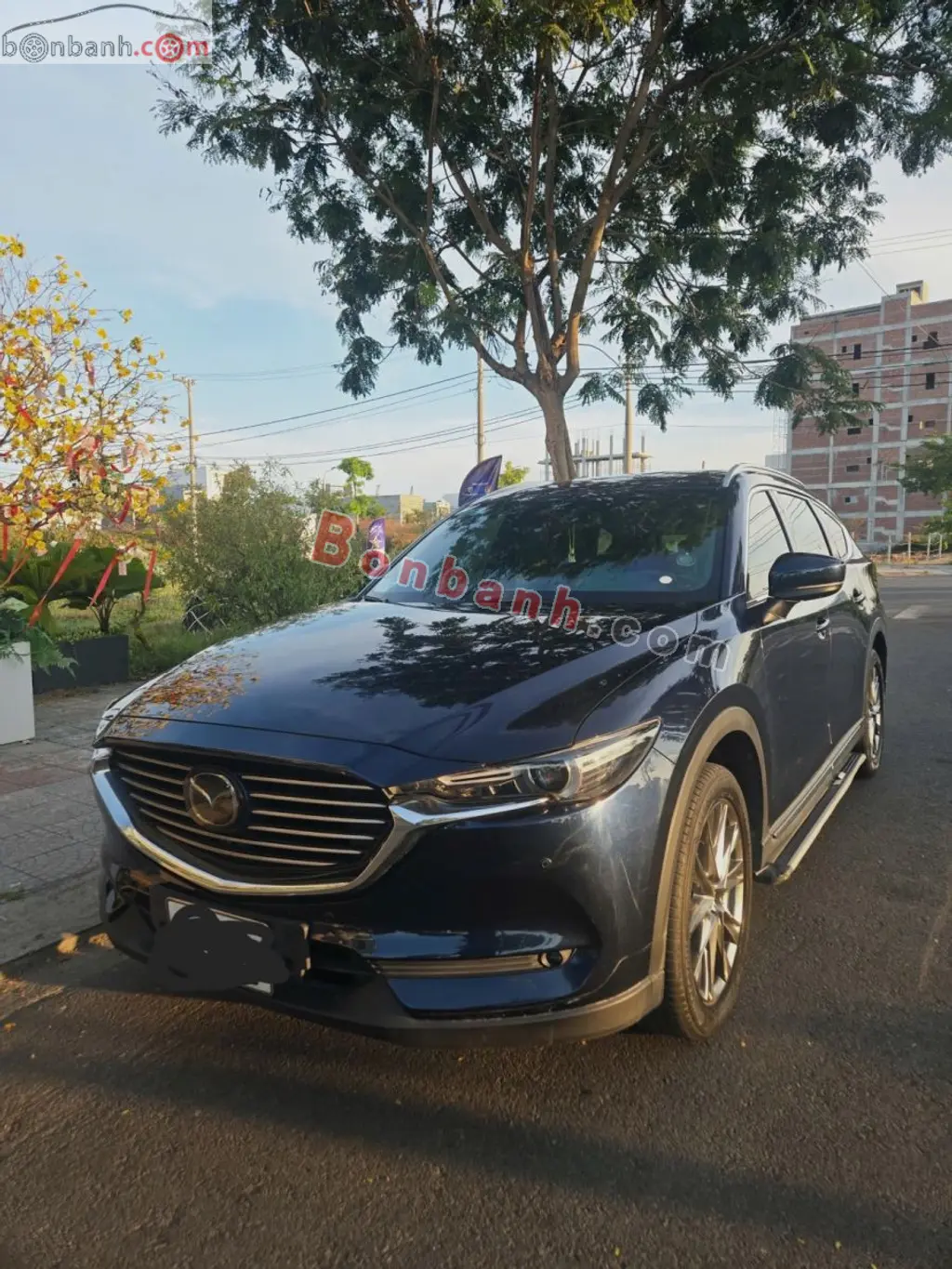 Hình ảnh số 3