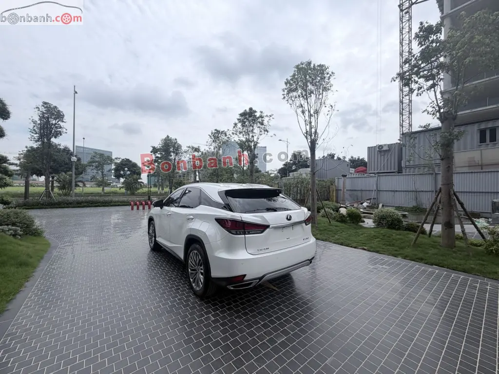 Hình ảnh số 2