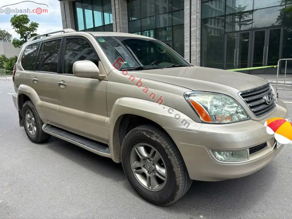 Hình ảnh số 2